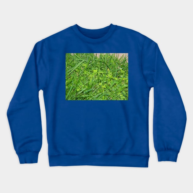 Looking for luck Crewneck Sweatshirt by FriendlyComputerHelp